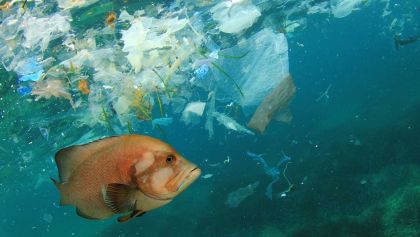 Le petit monde du plastique