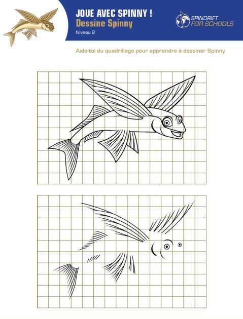 Jeu Junior - Dessine Spinny - niveau 2