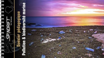 Pollution & biodiversité marine