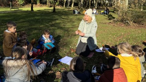 Une nouvelle animation terrestre – L’arbre et les sens 