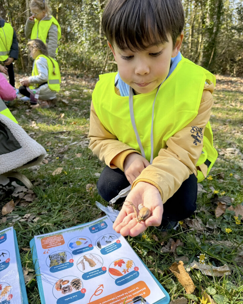 un petit garcon montre dans sa main ce qu'il a trouve en foret une coquille d escargot et une graine germe