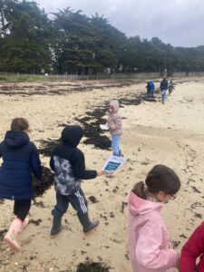 Enfants sur la plage qui étudient la laisse de mer à l’aide de fiches pour les aider à identifier ce qu’ils trouvent. 