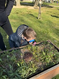 Enfant qui regarde une fleur à travers une loupe dans un parterre de terre. 