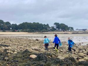 Trois enfants marchent sur les rochers de l’estran à la recherche des êtres vivants qui y vivent. 
